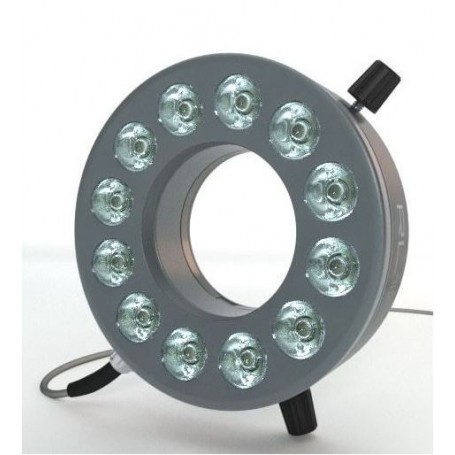 StarLight Opto-Electronics RL12-10s-24V B, σημείο, μπλε (470 nm), βύσμα M12 (4 ακίδων), Ø 66mm (58931)