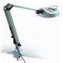 זכוכית מגדלת StarLight Opto-Electronics דגם LL6-NW, הגדלה פי 6, אור לבן טבעי (4,000 K) (58798)