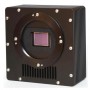 Cameră Starlight Xpress Trius SX-46 Mono (56657)