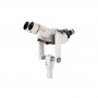 Бінокль Vixen BT-81S-A Binocular Telescope Set (47979)