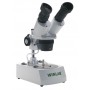 Microscopio stereo a LED Windaus HPS 31 (19867)