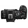 キヤノン EOS R6 Mark III RF 24-105mm F4-7.1 IS STM（SKU 7084C031AA）