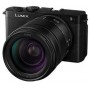 Panasonic S9 + 28-200 мм F4-7.1 Jet Black (артикул DC-S9HE-K)