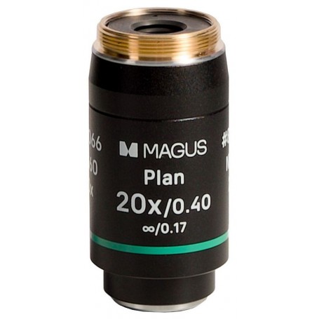 Magus 20PL60 Plan 20х/0.40 ∞/0.17 H60mm objektyvas (85066)