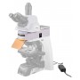 Magus Epi-FL05 LED Epi-Fluorescence Attachment, fluorescence filter cubes B/G/UV/R (85158)