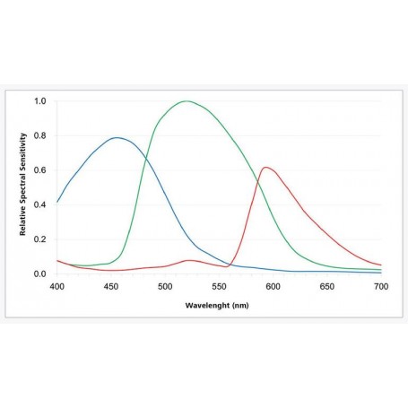 ZEISS Camera Axiocam 212,colour,CMOS,1/1.7",30 fps,12.3 MP,HDMI/USB 3/LAN (85584, 426570-9901-000 (Axiocam 208-426570-9000-000))