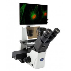 Microscopio invertido Optika IM-300LD4D, digital, infinito, plan 100x-400x, 10x/22, AL/DL, LED, IOS LWD PLAN F, 4 ranuras para f