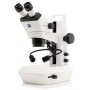 Microscópio estéreo zoom ZEISS Stemi 355, C Lab, trino, BF, DF, w.d.110 mm, 10x/23, 5,5:1, 7,2x-40x, AL/DL, SpotC LED (88102, 49
