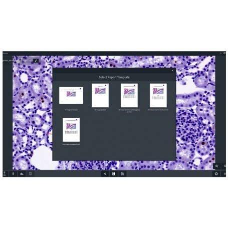 Програмне забезпечення ZEISS Labscope AI модуль Cell Counting Chamber DLic (86410, 410136-0194-100)