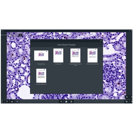 ZEISS Labscope ソフトウェア マルチチャンネル DLic モジュール（82365、410136-0129-100）