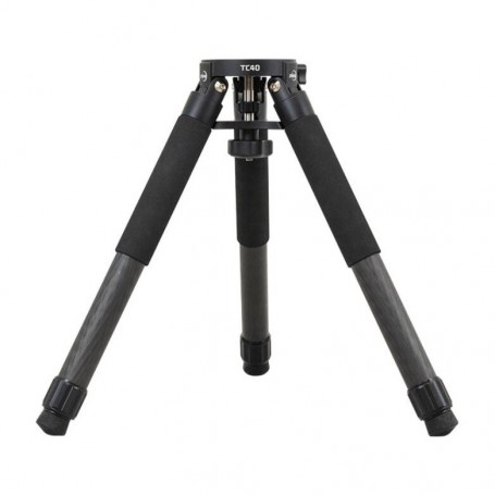 Montura ZWO AM5N Armónica Ecuatorial + Trípode TC40 (87237)