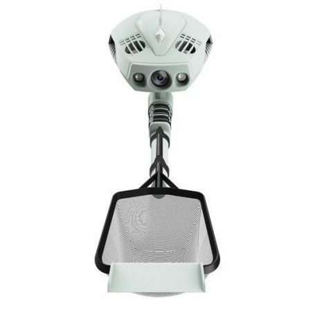 Chasing innovation chasing dory explore vert menthe (C-DORYEX-MG)