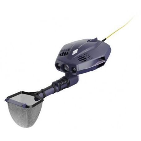 Chasing innovation chasing dory explore Violet Foncé (C-DORYEX-DP)