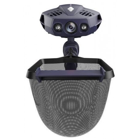 Chasing innovation chasing dory explore Violet Foncé (C-DORYEX-DP)