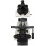 Microscop Nexcope NE910P (DO-8603)