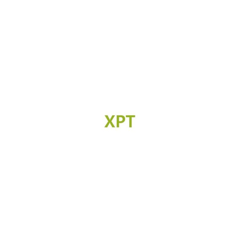 ไฮเทรา ไลเซนส์สำหรับ XPT ซิงเกิลไซต์ (การทำงานแบบท่อเทียมขยาย) สำหรับ RD985S