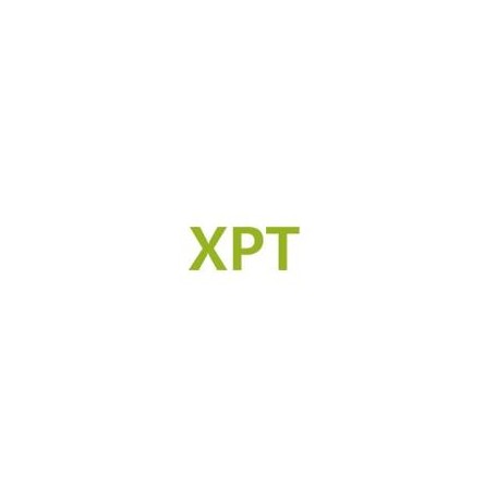 Licence Hytera pro XPT Single Site (Rozšířené pseudo trunkování) pro RD985S