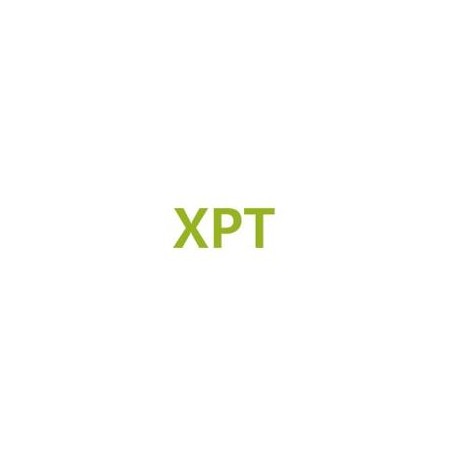 Hytera licenco za nadgradnjo z XPT Single Site (razširjeno Pseudo Trunking) na XPT Multi Site za RD985S