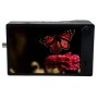 Kron Technologies Chronos 2.1-HD 32GB Colour Sensor w/ F Mount (SKU CR21-1.0-32C-FNL)
