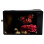 Kron Technologies Chronos 2.1-HD 32GB Farbsensor mit EF-Anschluss (SKU CR21-1.0-32C-EFNL)