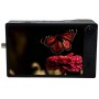 Kron Technologies Chronos 2.1-HD 16 ГБ, кольоровий сенсор з байонетом EF (SKU CR21-1.0-16C-EFNL)