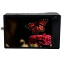 سنسور مونوکروم ۱۶ گیگابایتی Kron Technologies Chronos 2.1-HD با مانت EF (کد کالا: CR21-1.0-16M-EFNL)