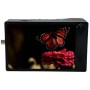 Kron Technologies Chronos 2.1-HD Sensor de Cor 8GB com Montagem MFT (SKU CR21-1.0-8C-MFT)
