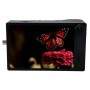 سنسور مونوکروم ۸ گیگابایتی Kron Technologies Chronos 2.1-HD با مانت EF (کد کالا: CR21-1.0-8M-EFNL)