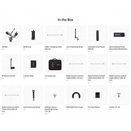 Estabilizador de Câmera DJI RS 2