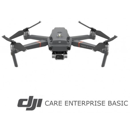 DJI Care Enterprise Basic لـ Mavic 2 Enterprise Dual