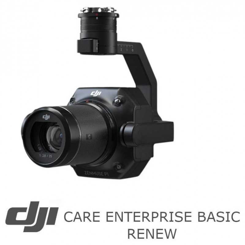 DJI 케어 엔터프라이즈 베이직 리뉴 포 젠뮤즈 P1