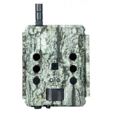 Cámara de Senderos Celular Bushnell Cellucore 30 Sin Brillo - Proveedor de Red Verizon