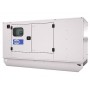 FG Wilson dyzelinis elektros generatorius P110-3, 80 kW - 100 kW su gaubtu