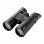 Steiner SkyHawk 4.0 10x42