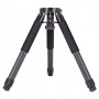 ZWO TC40 Tripod Karbon