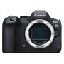 Canon EOS R6 Mark II – Spiegellose Kamera 24,2 MP Vollformat-CMOS-Sensor