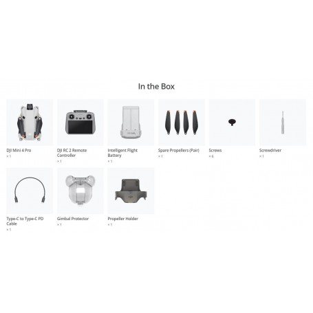 دي جي آي ميني 4 برو (دي جي آي آر سي 2)