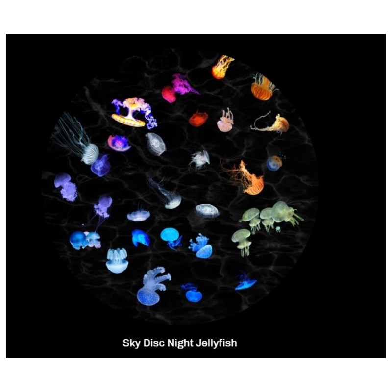Astrial Night Jellyfish - Sega Toys planetariumschijf