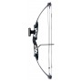 Poe Lang Cobra Protex 2.0 55 lb 40,2" compound black bow (CO-047B-5529)