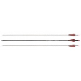 NXG Arrow fibră carbon 30" vârf de săgeată os ținte, 350 sp, 3x (2.2353)