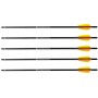 Poe Lang EK alumiiniumpolt 20" 5 tk must (D-024BM-B1)