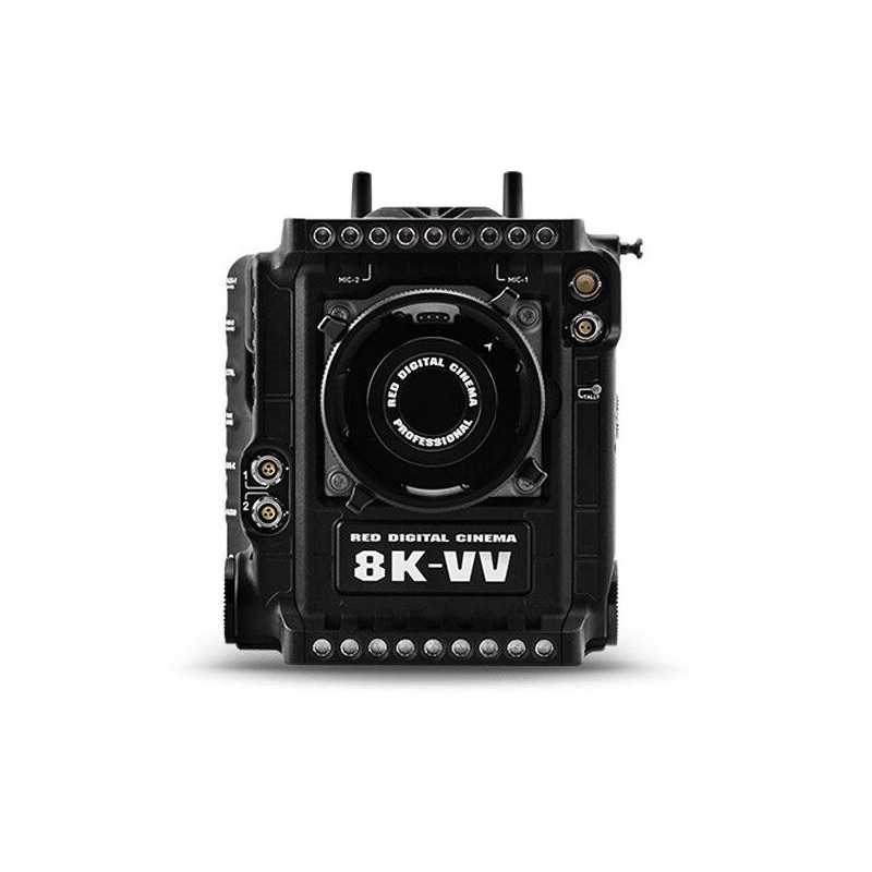 RED V-RAPTOR XL 8K VV (ר זהב)